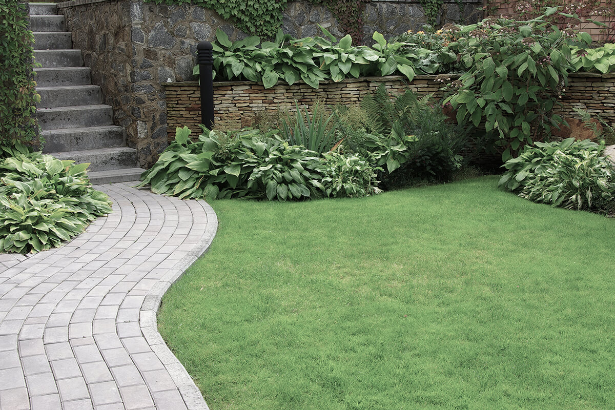 Welcome to Four Seasons Landscaping